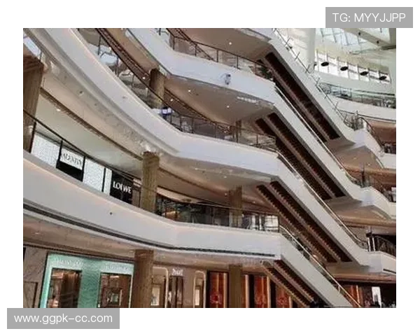 星城we官方首页未来发展规划与创新方向展望平台持续创新的动力